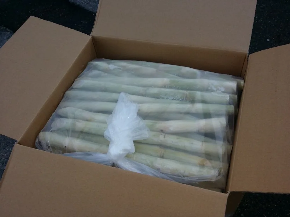 Canne à sucre conditionnée dans un carton